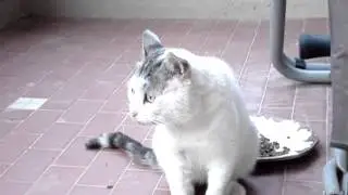 MOV05804