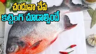 Amazing Big Black Pomfret fish cutting  ||| Sanduva fish Cutting | చందువా చేప క&zwnj;ట్టింగ్ చూడాల్సిందే