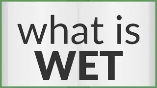Wet | meaning of Wet