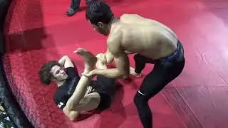 PFL 22