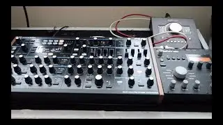 Novation Peak & Elektron Analog Heat