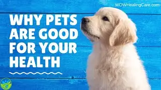 Why pets are good for health!