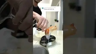 Bird Glass Wash 🧼