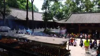 Panda Base - Bifengxia (Ya'an)