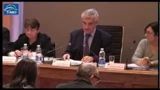 Conseil municipal de Tarbes - 19 mars 2013