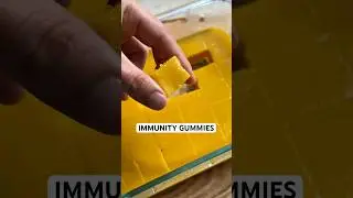 Immunity gummies!! Basically an immunity shot in a gummy! #immunity #immunitybooster #immunesupport