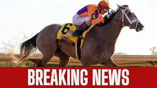 Streak of Luck Headlines Fasig-Tipton November Sale &ndash; Ted Noffey&rsquo;s Dam Up for Auction!
