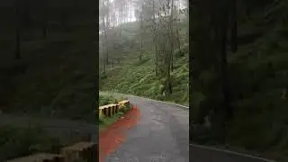 Uttrakhand Almora | #Almora #Mountains #Uttrakhand #YT #Shorts #Love #Feel #Nature #Trip #Viral #❤️