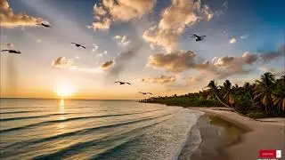 Reggae Music Mix 2025  🥰  Best Reggae Love Beach Songs ,Top Reggae Special Relax  Music 116
