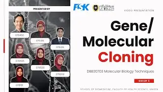 GROUP 5 MBT ASSIGNMENT VIDEO 
