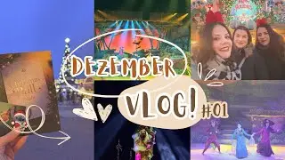 Dezember VLOG Tag 1 aus dem Disneyland Paris  🏰