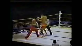 Don Wilson Vs. Panya Sornoi (08/09/1981)