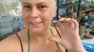 Mar de Resina com ondas no MDF