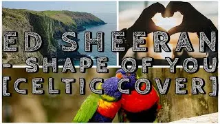 Ed Sheeran  - Shape of You [Celtic Cover]