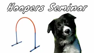 Ravens 1.Hoooers Seminar