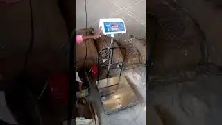 Ration shop dealer cheating