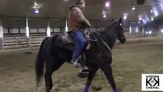 EXERCICES autour d'un Pneu pour bien positionner notre CHEVAL pour les BARILS
