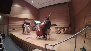 Paul Eddison Lewis - The Ninth Gate (Double Bass Quartet Live: 2017)