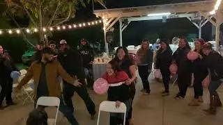Gender reveal Games (Hilarious)