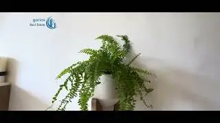 Departamento en Venta en Playa del Carmen | 1 Rec&aacute;mara | Inversi&oacute;n Cerca de la 5&ordf; Avenida