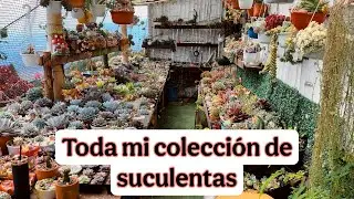 Recorrido por todo mi jardín , así se encuentra en este momento / parte 1 