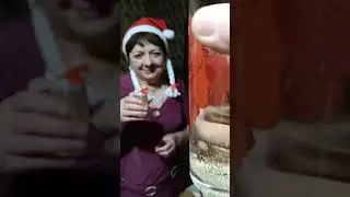 Новогодняя ночь 2020