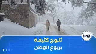 ثلوج كثيفة تجتاح عديد ولايات الوطن