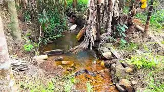 For Sale / Chikmaglur / Jayapura 