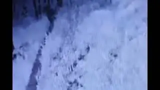 Atak żołnierza na uchodźcę / Więcej w reportażu 
