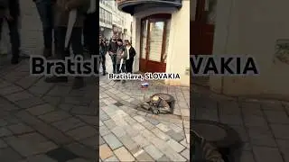 24 часа в Братиславе 🇸🇰 Прогулки по старому городу, виды на замок и остановки на кофе #очаровател...