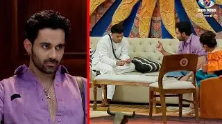 Bigg Boss 19 Live: Amaal Called Abhishek Alpha Wolf, Jo Apne Group Ko Direction Dikhata Hai