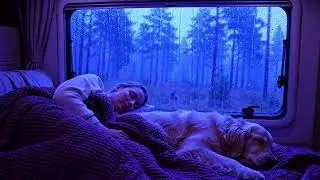 Rain Sounds at Night for Sleep with Soft Thunder and Calm Blue Ambience