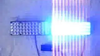 strobe.flv