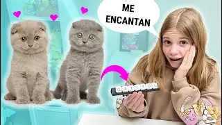 SI LO PUEDES DELETREAR TE LO COMPRO CHALLENGE! BUSCANDO UN NUEVO GATITO BEB&Eacute; DANIELA GO