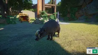 Planet Zoo (PC)(English) #103 10 Minutes of Babirusas (Southeast Asia DLC)