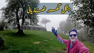 Forest Rest House | Top Place To Visit in Thandiani | Hiking Tracking |