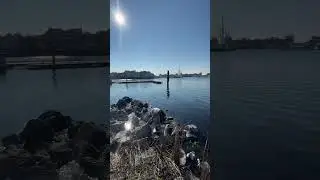 #explore #youtubeshorts #adventure #fun #kids #nature #travel #places #lake #harbour #boats #places