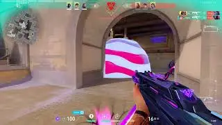 Valorant Highlights #8