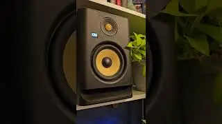 Track ID, house heads help!!!!!