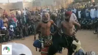 Charo chadi wasan Hausa fulani da buzz #africanculture #zinder #tahoua #culture 
