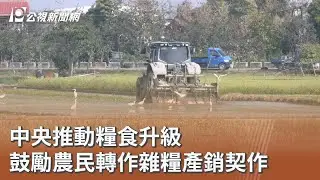 中央推動糧食升級 鼓勵農民轉作雜糧產銷契作｜20260203 公視午間新聞