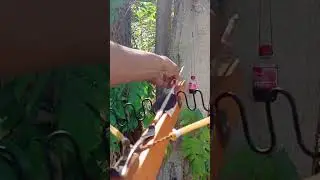 Worm spring crossbow