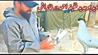 وید‌یو جدید خلیفه احمد در خانه  خودش ...
