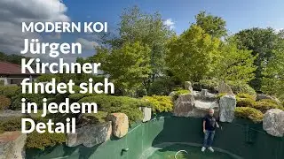 Stefans Japangarten mit 90.000 Liter Koiteich  | Modern Koi Blog #7833