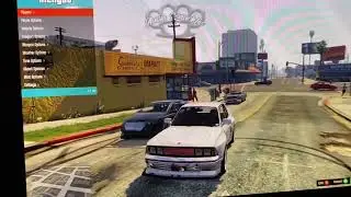 How to FIX GTA V not Launching the Scripthook ASI Loader (Mod Menu) on the Steam Deck