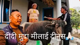 Aaja pni jadu chalaunu dr chang to pipel sangai😂😂😂