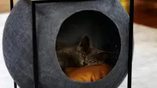 55 домиков для кошек от простых до сложных/55 Types of Cat houses