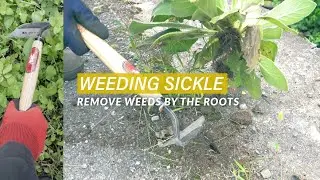 Effortless Weeding and Trimming:12.399