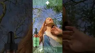 Our signature full-spectrum CBD tinctures are crafted to support your body and mind - naturally.