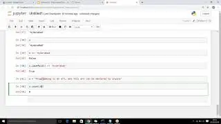 Python Programming   Working with Strings